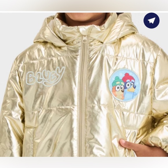 bluey Other - BLUEY Gold Hooded Puffer Jacket for Kids 💛💎💎 NWT
